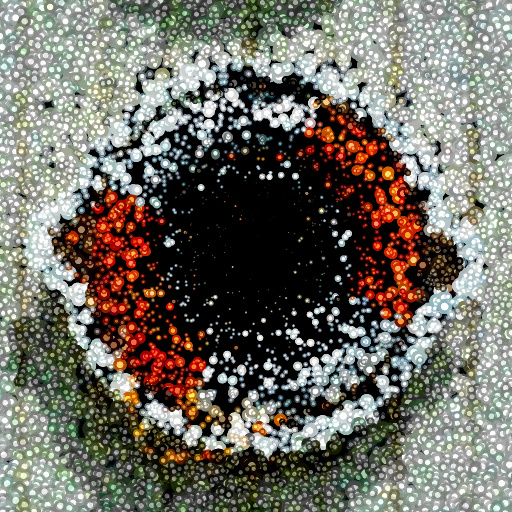 Variation 3