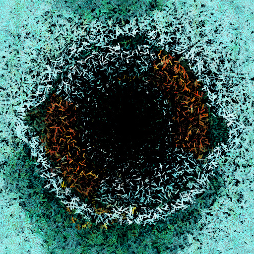 Variation 4