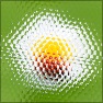 Bee Honeycomb