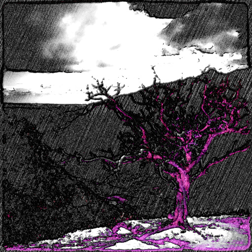 Variation 1