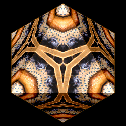 Variation 1