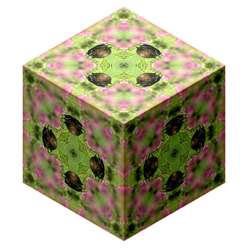 Variation 3