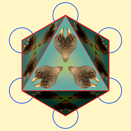 Variation 4