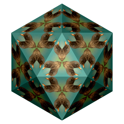 Variation 5