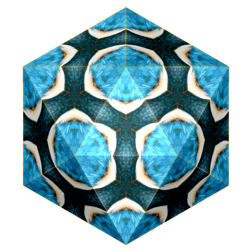 Variation 7