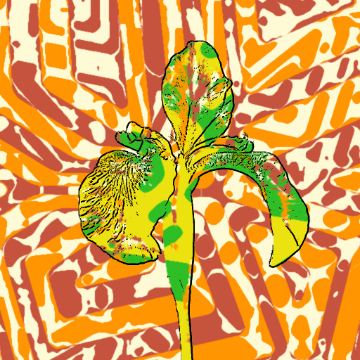 Variation 1