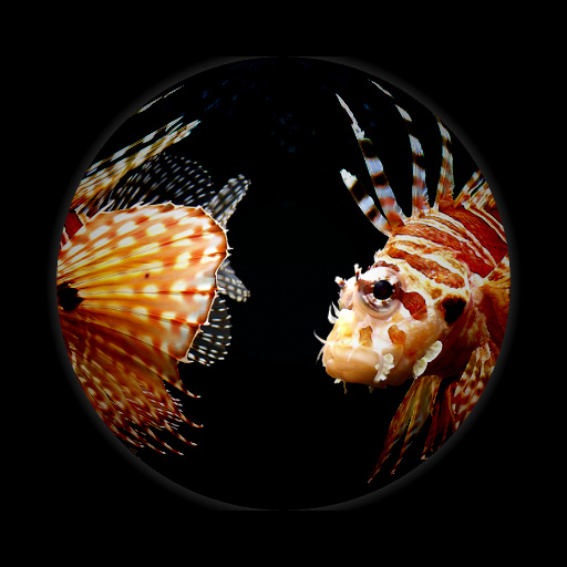 Variation 7