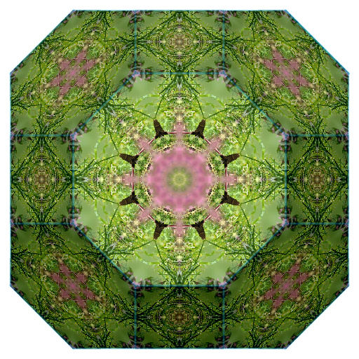 Variation 3