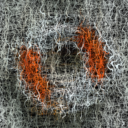 Variation 1
