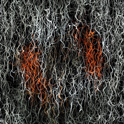Variation 7