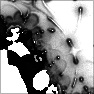 Unity 2018.3 - Standard