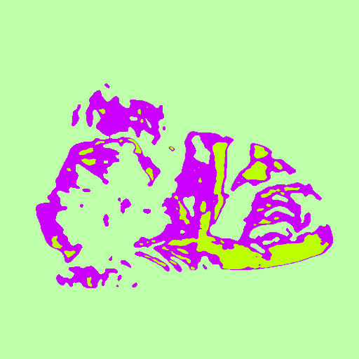 Variation 8