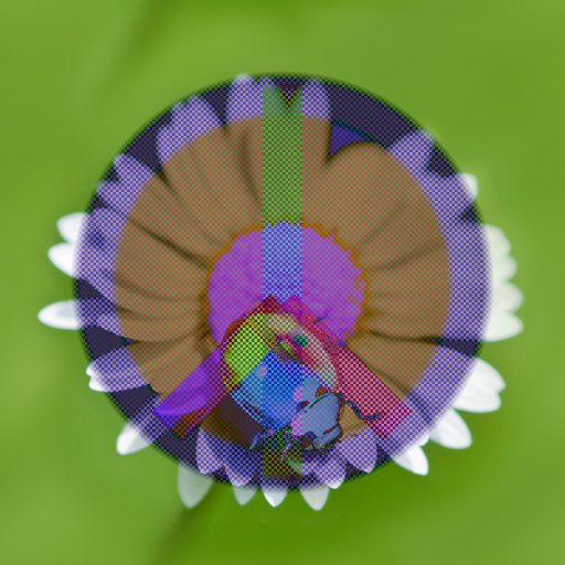 Variation 8