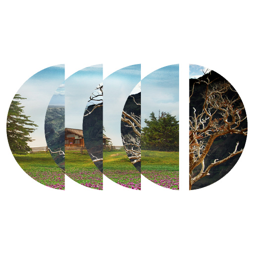 Variation 5