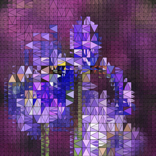 Variation 8