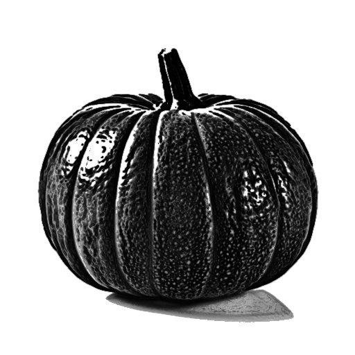 Ambient Occlusion Map