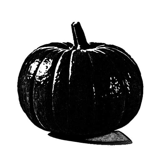 Reflective Occlusion Map