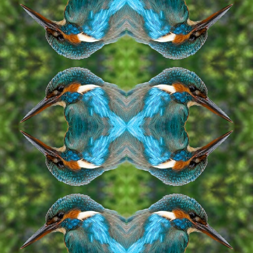 Variation 3