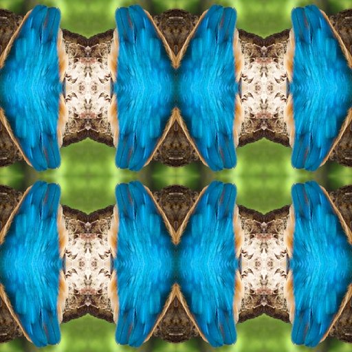 Variation 6