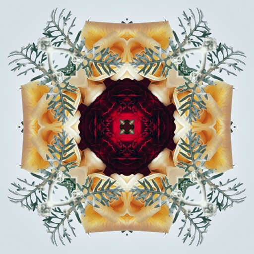Wallpaper Kaliedoscopes