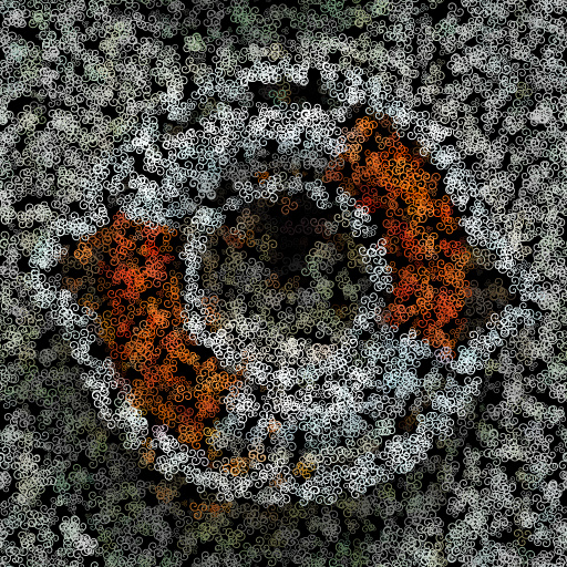 Variation 4