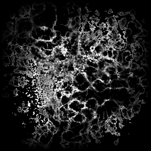 Bump Map
