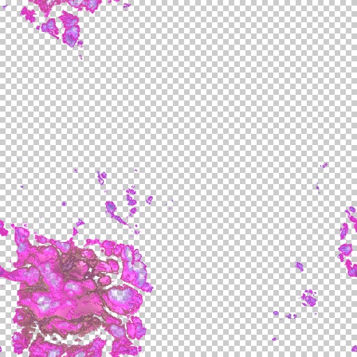 Variation 4
