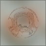 Water& Blur Frame