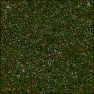 Forest Meadow Grass 1.0