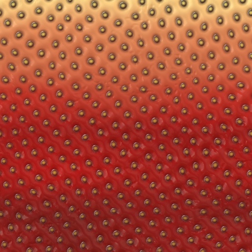 Variation 7