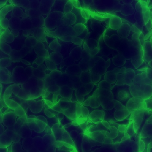 Variation 4