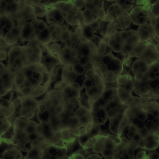 Variation 7