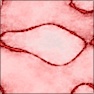 cuts_version1