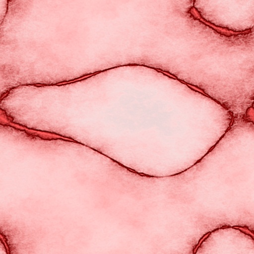 cuts_version1 (Texture)