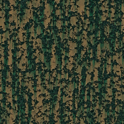 Variation 7