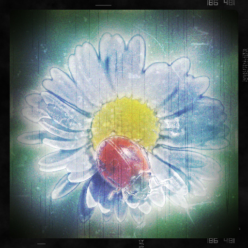 Variation 2