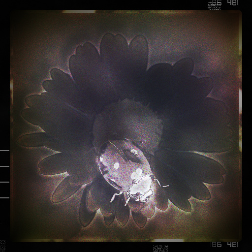 Variation 3