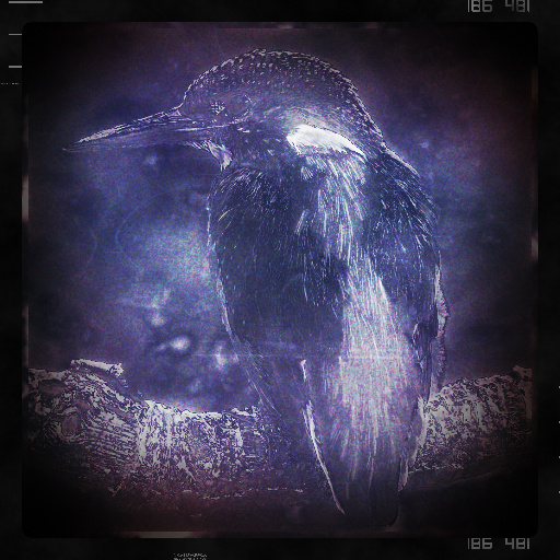 Variation 5