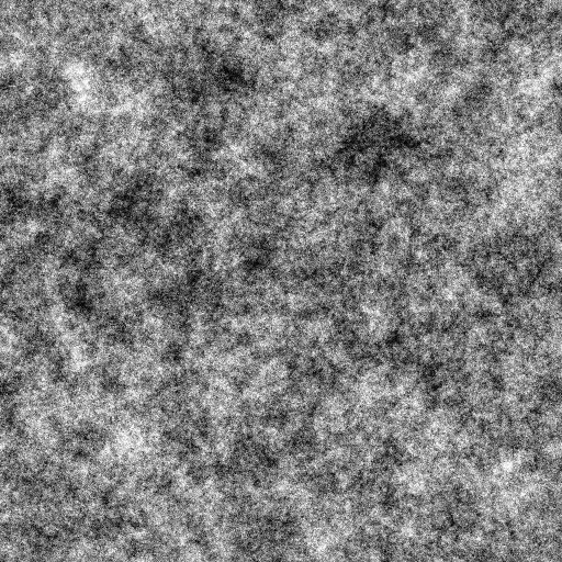 Bump Map