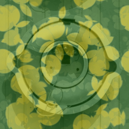 Diffuse Map