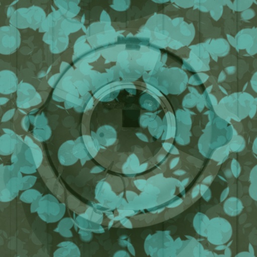 Variation 4