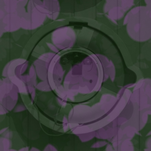 Variation 5