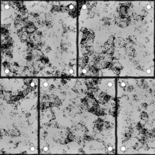Bump Map