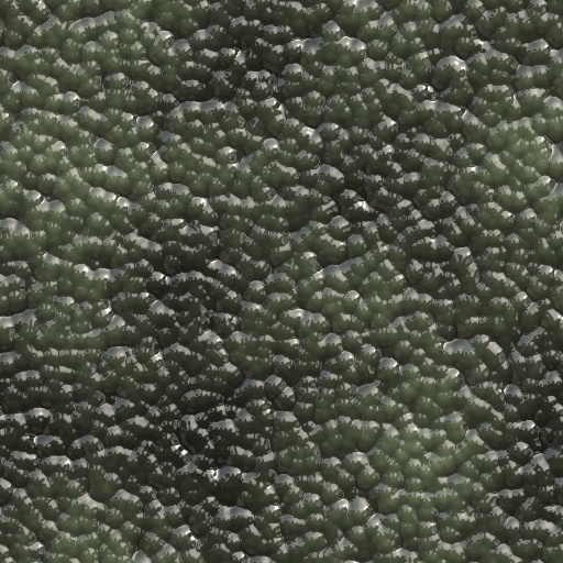 Variation 1