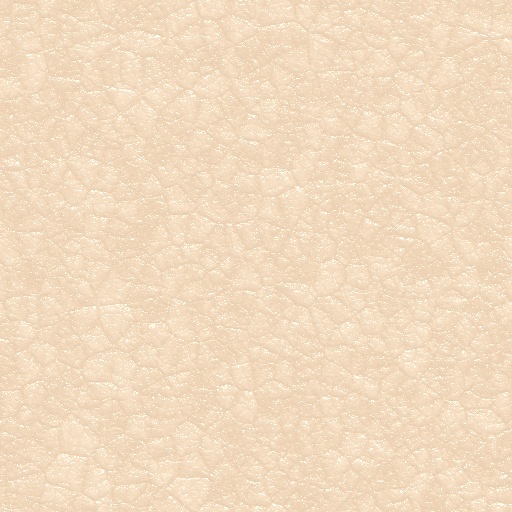 Humanoid Skin (Texture)