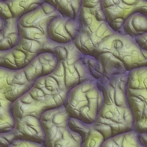 Variation 5