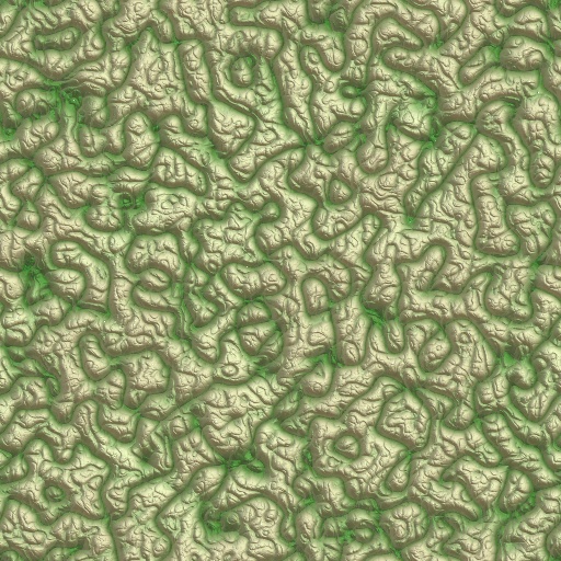 Variation 6