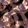 Alien Metal