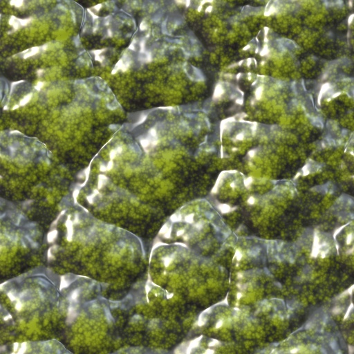 Variation 2
