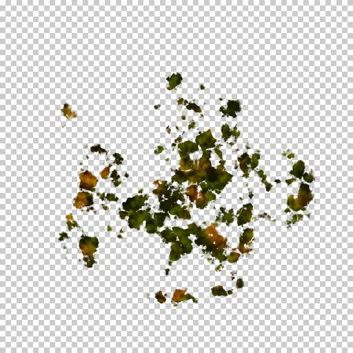 Variation 1